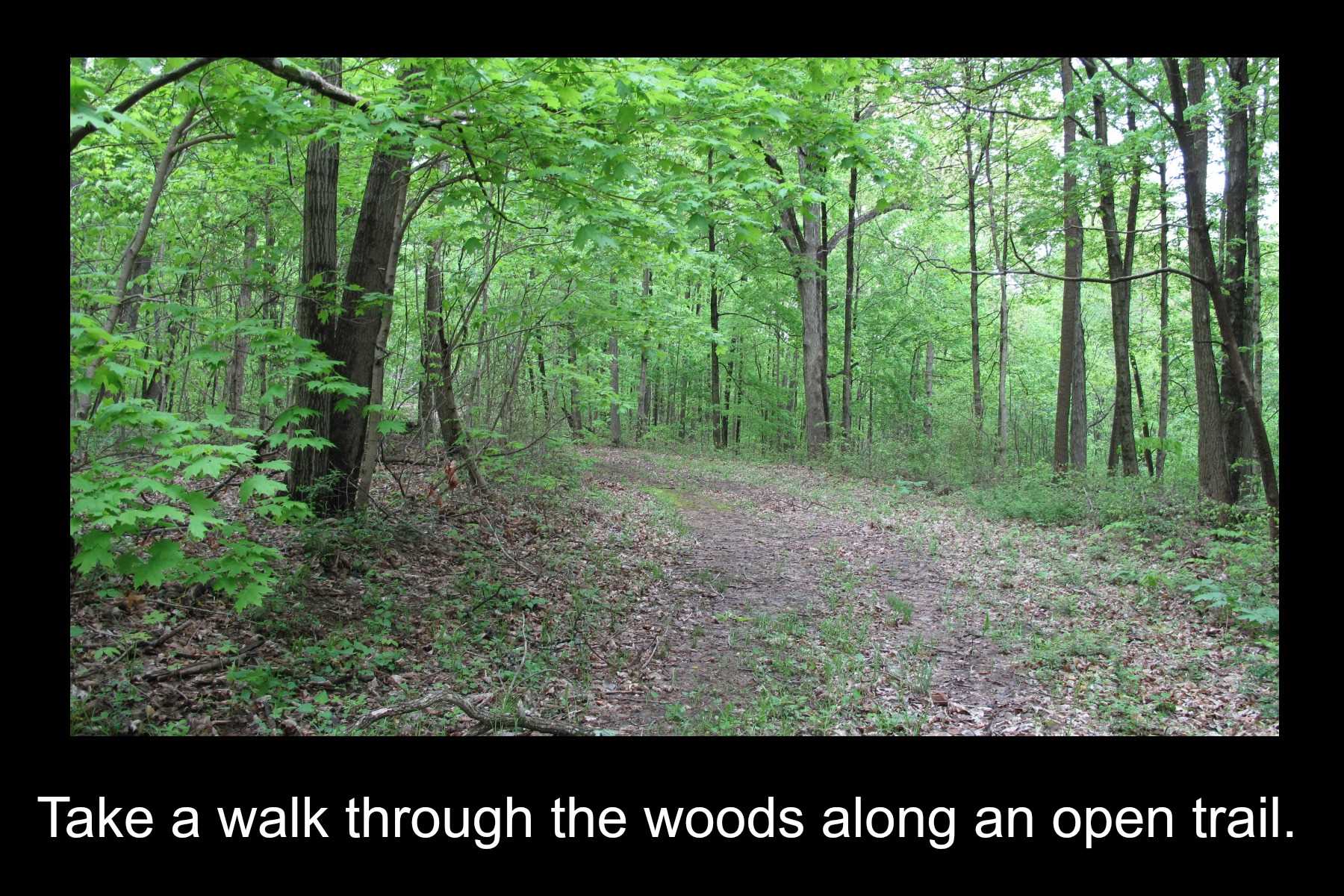 2900 North Starnes Road Bloomington, IN 47404 - Photo 8 of 12