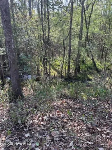 $220,000 | 9273 Buccaneer Court Northeast, Leland, NC 28451