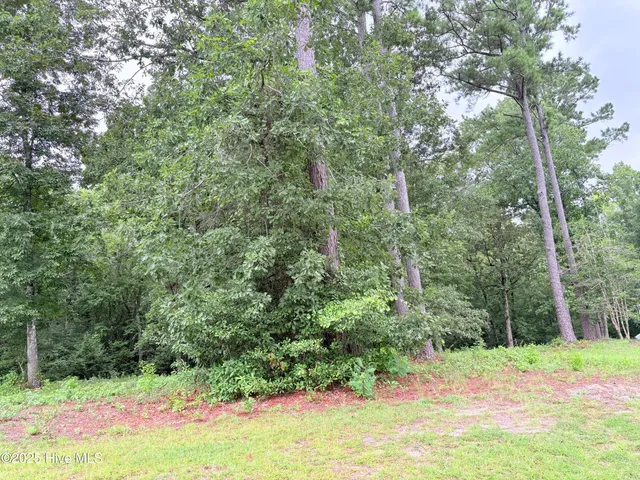 $220,000 | 9273 Buccaneer Court Northeast, Leland, NC 28451