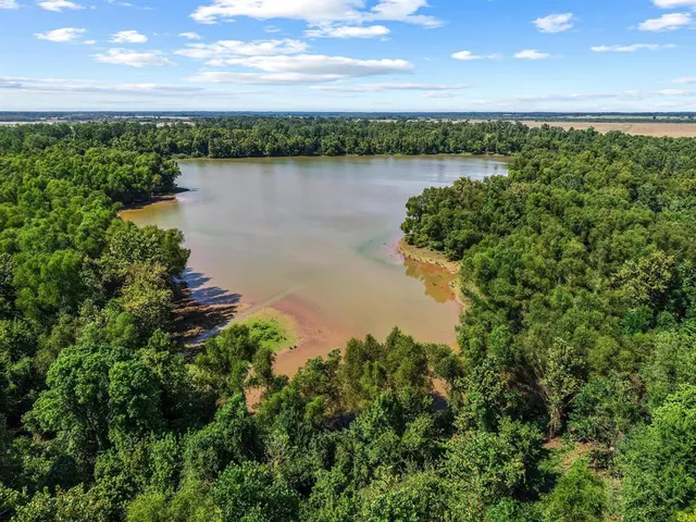 a view of a lake from a yard