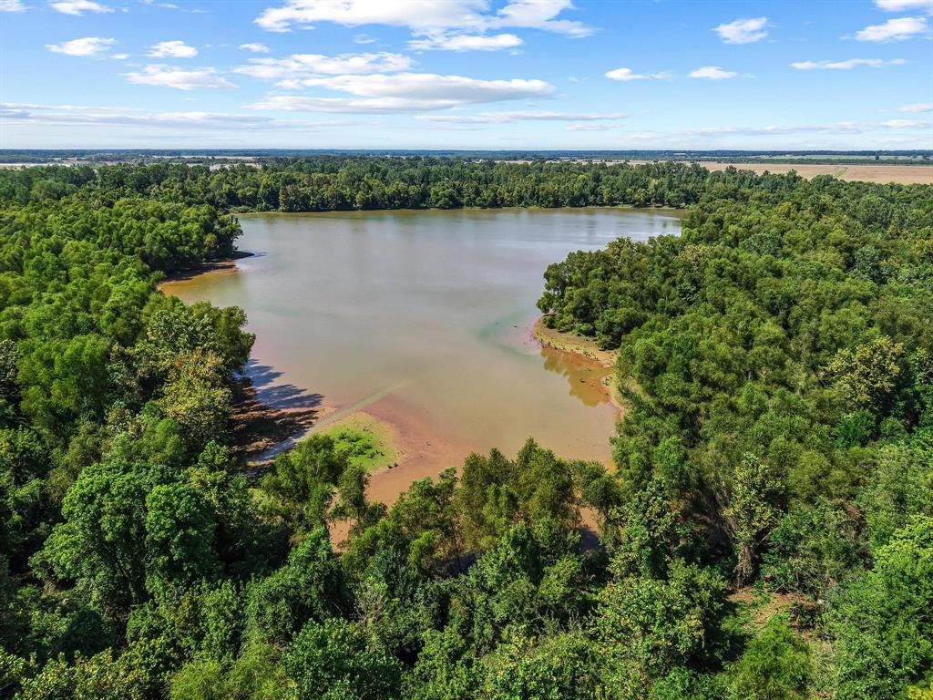 0 North 4540th Road Clarksville, TX 75426 - Photo 13 of 40 a view of a lake from a yard