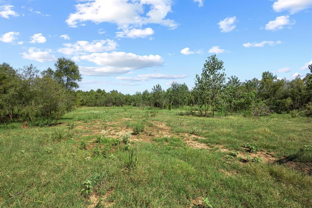 0 North 4540th Road Clarksville, TX 75426 - Photo 14 of 40 a view of a green field