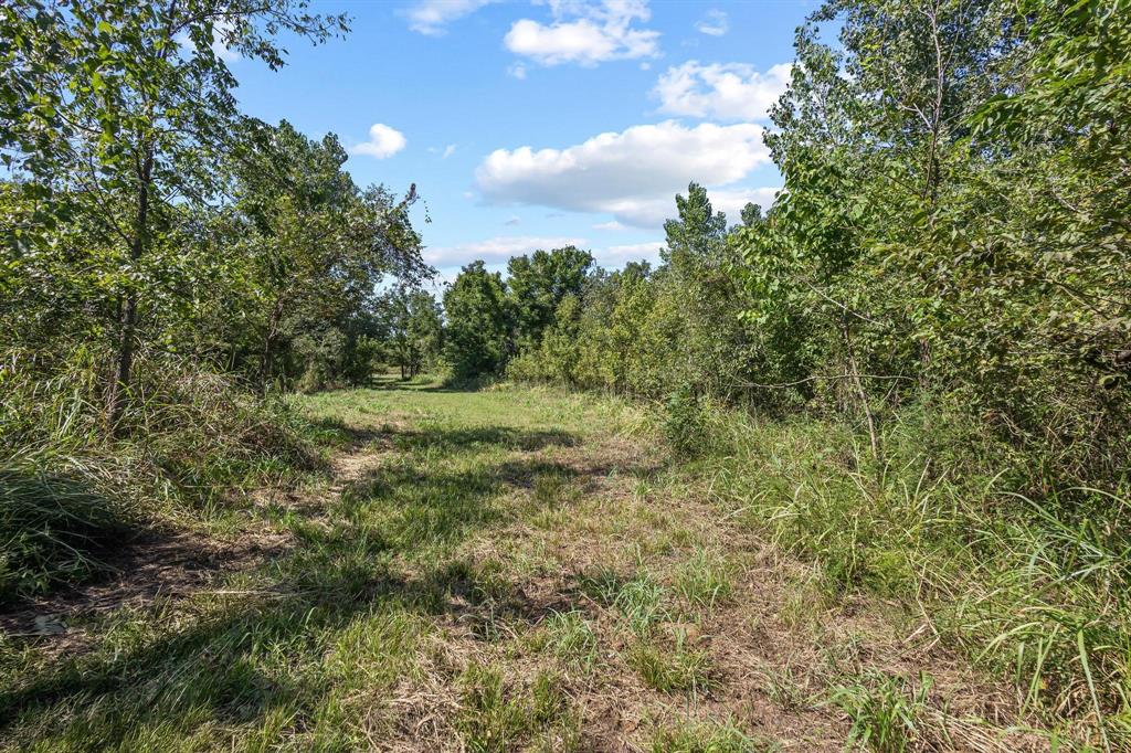 0 North 4540th Road Clarksville, TX 75426 - Photo 15 of 40 a view of a field with lots of trees