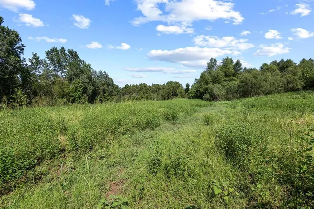 a view of a field of grass and trees