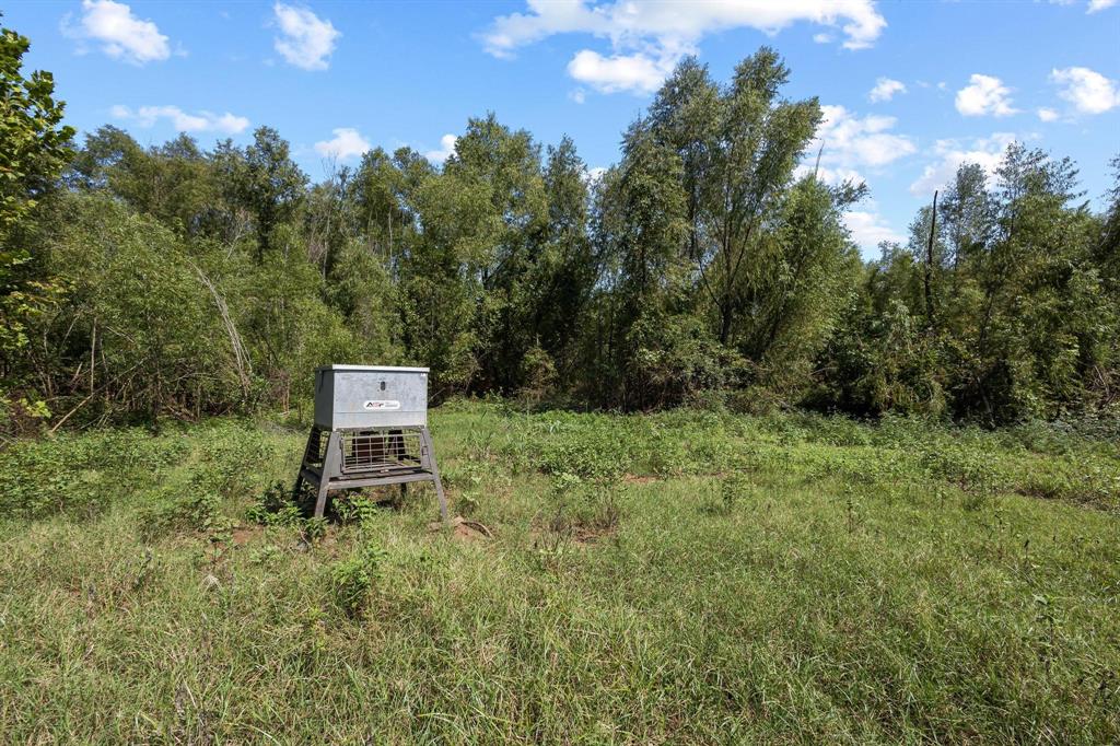 0 North 4540th Road Clarksville, TX 75426 - Photo 18 of 40 a garden with a bench and trees in the background