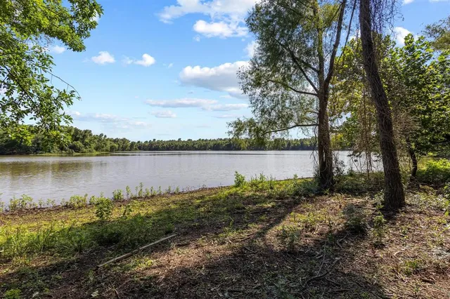 a view of a lake with a tree in the background