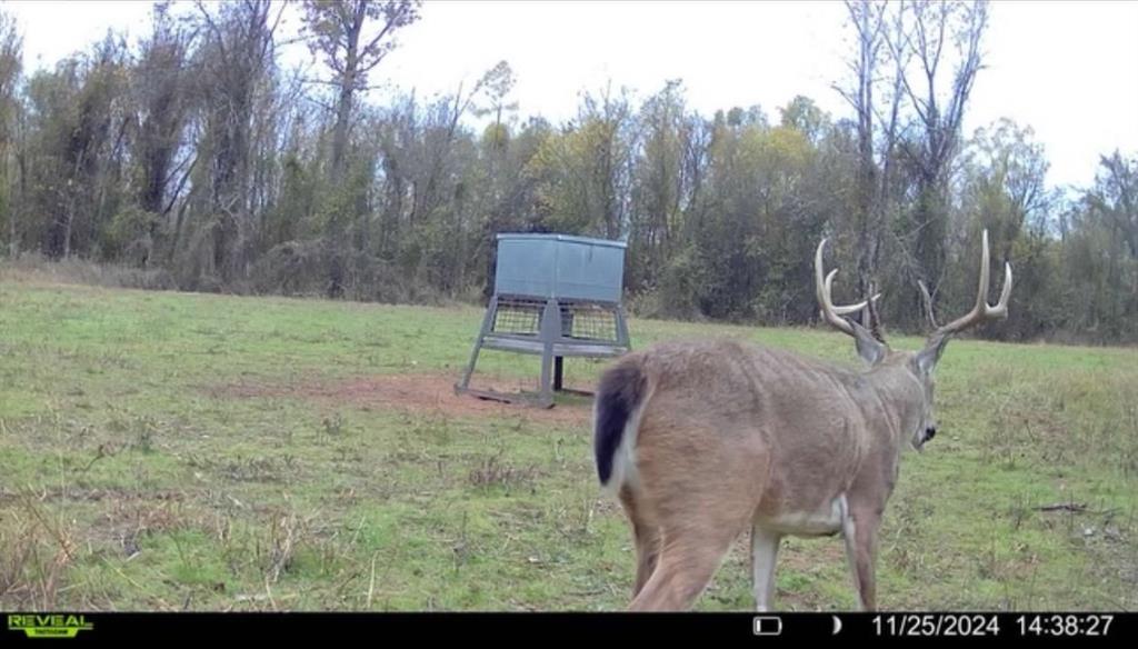 0 North 4540th Road Clarksville, TX 75426 - Photo 32 of 40 a view of outdoor space and yard