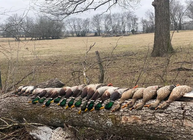 a view of a yard with an outdoor space