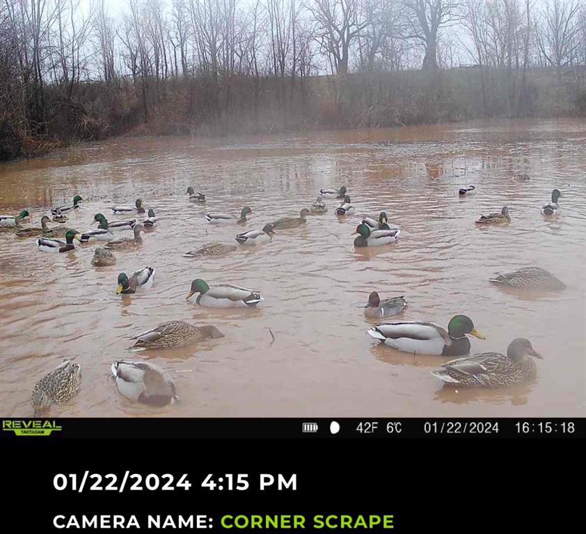 0 North 4540th Road Clarksville, TX 75426 - Photo 37 of 40 a view of a couch