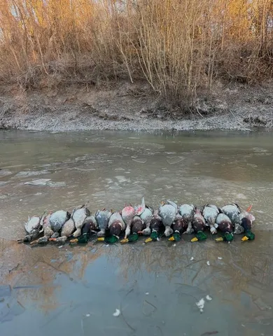 a view of a lake with an outdoor space