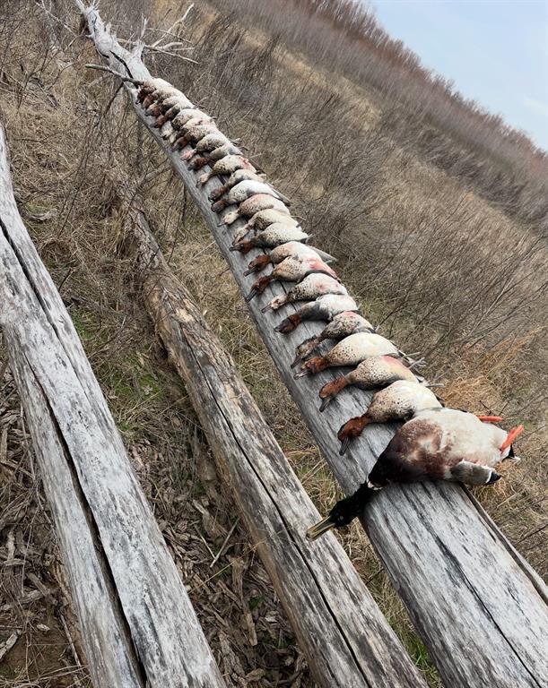 0 North 4540th Road Clarksville, TX 75426 - Photo 39 of 40 a view of buildings