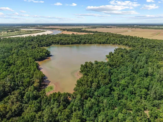 a view of a lake from a yard
