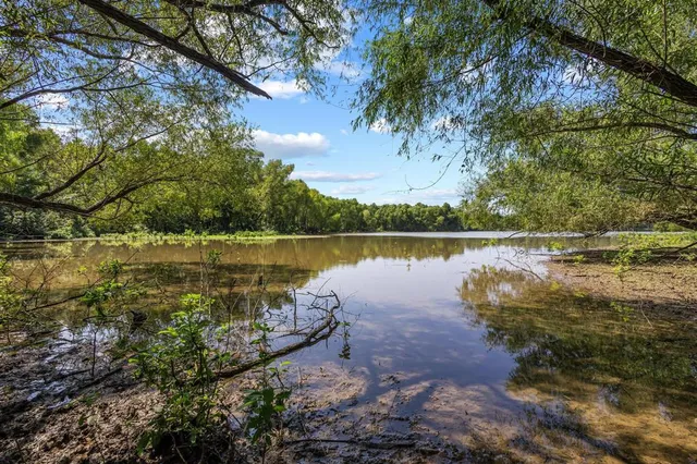 a body of water with a tree in the background