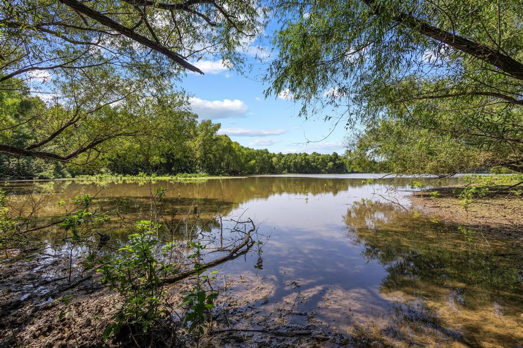 0 North 4540th Road Clarksville, TX 75426 - Photo 5 of 40 a body of water with a tree in the background