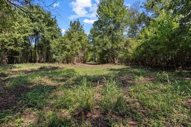 a big yard with lots of green space and deers