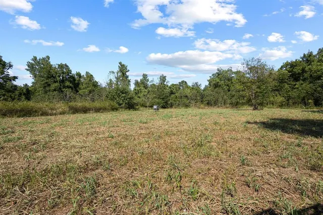 a view of a field with an trees