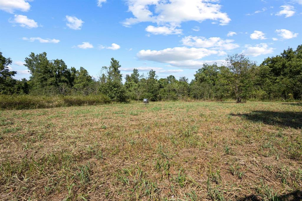 0 North 4540th Road Clarksville, TX 75426 - Photo 8 of 40 a view of a field with an trees