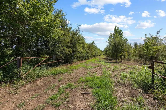 a view of backyard with green space