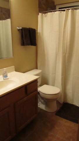 485 Rebecca Lane Bolingbrook, IL 60440 - Photo 15 of 16 a bathroom with a sink and a toilet
