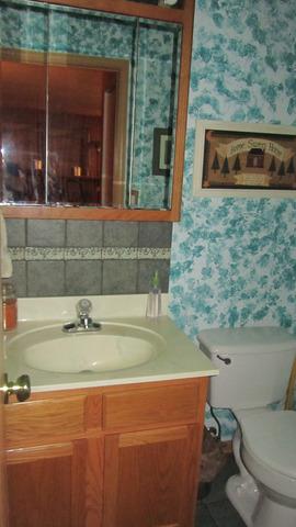 485 Rebecca Lane Bolingbrook, IL 60440 - Photo 6 of 16 a bathroom with a toilet and a sink