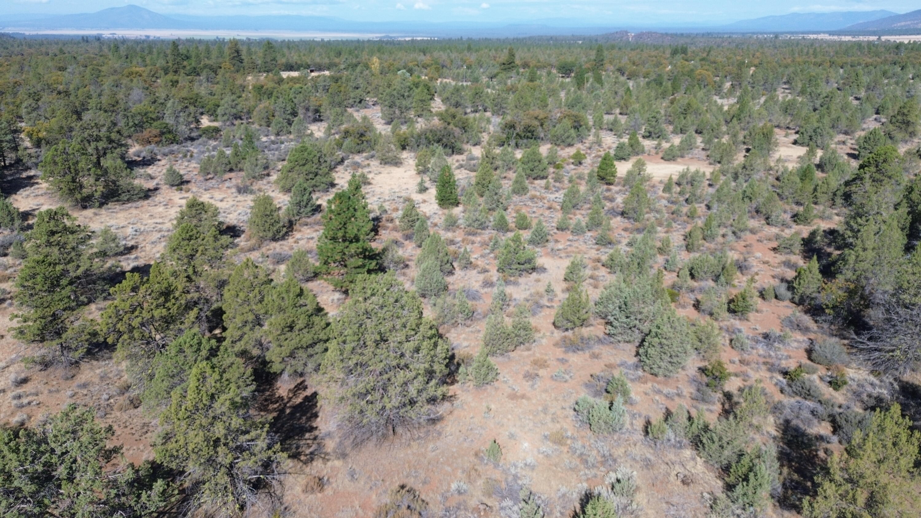 Nsa Old Hwy Road McArthur, CA 96056 - Photo 11 of 21 DJI_0400