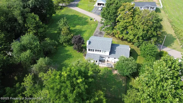 a swimming pool with lots of tress in front of it