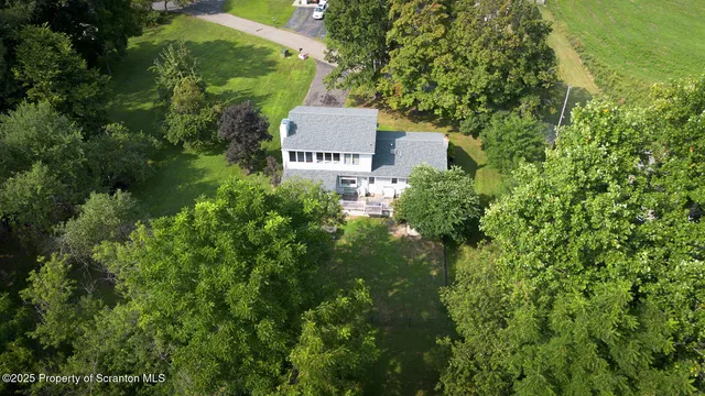 a backyard of a house with plants and large tree