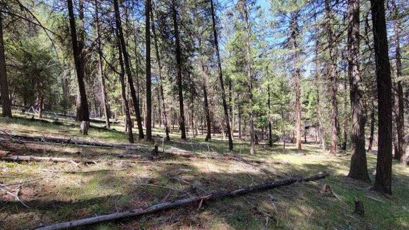 1315 Lofton Creek Road Prineville, OR 97754 - Photo 25 of 61 image000000 (15)