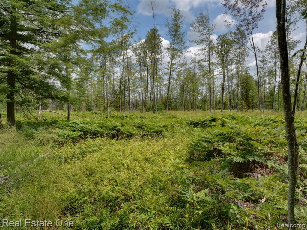 0 South Morrison Road West Branch, MI 48661 - Photo 9 of 38