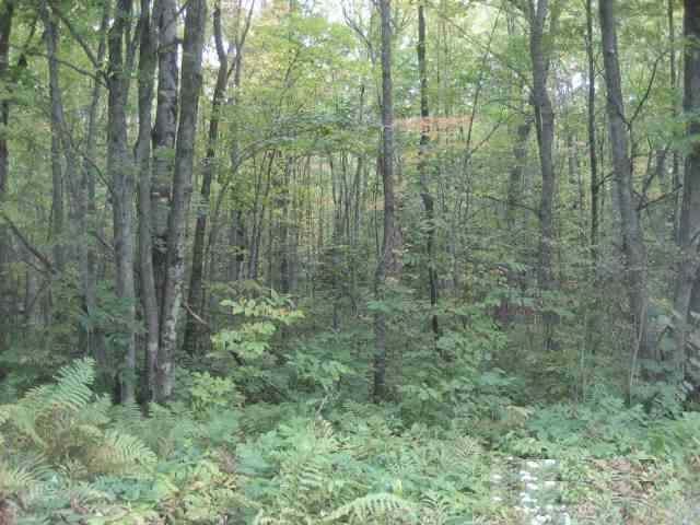 Tbd Conhartoski Road Hurley, WI 54534 - Photo 3 of 12 Gallery Image 3