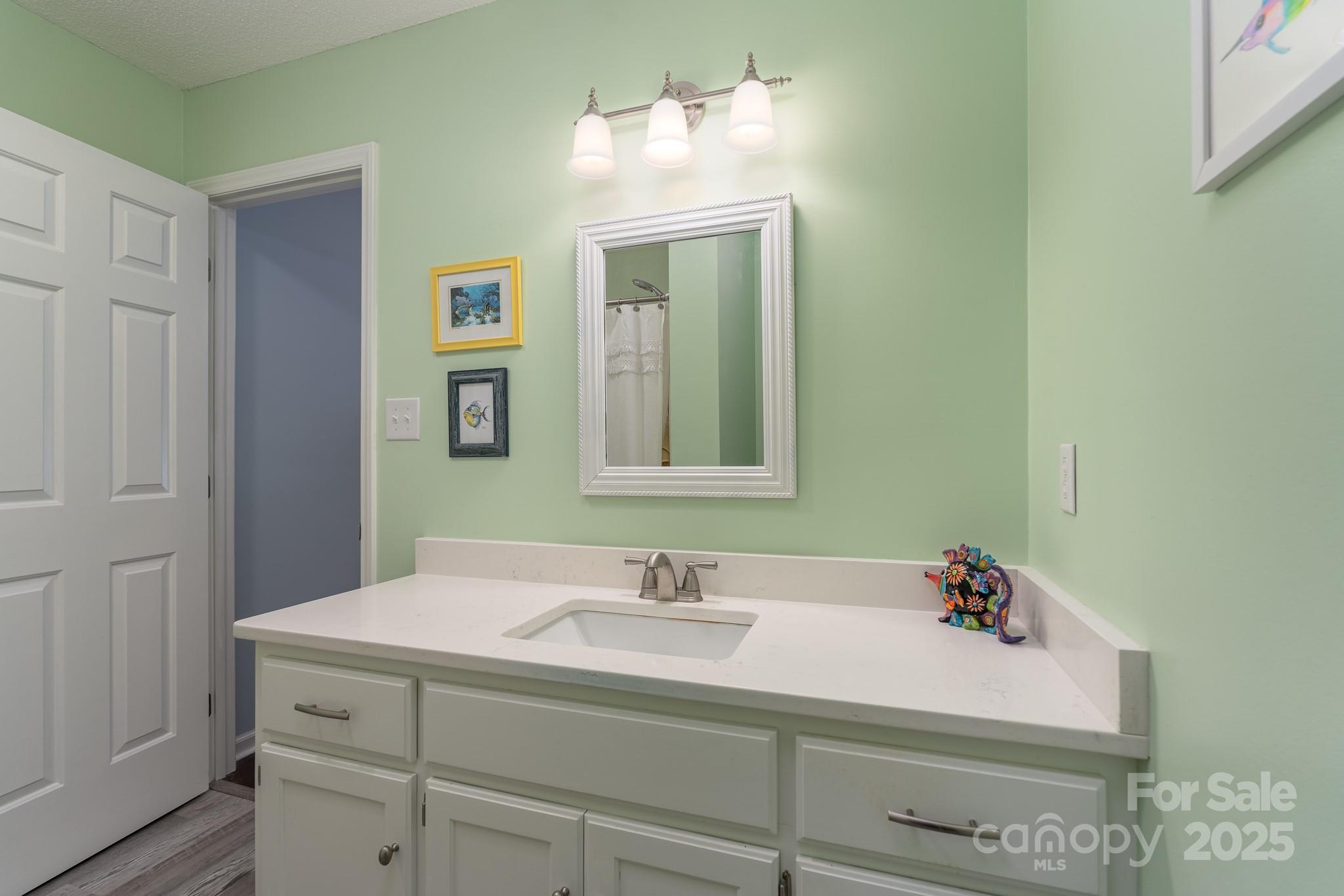 201 Pointe Circle Rock Hill, SC 29732 - Photo 18 of 32 a bathroom with a sink and a mirror