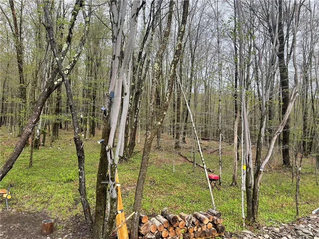 $185,000 | 100 Buchanan Road, Sanford, NY 13865