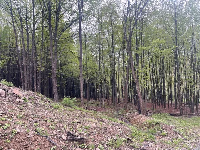 $185,000 | 100 Buchanan Road, Sanford, NY 13865