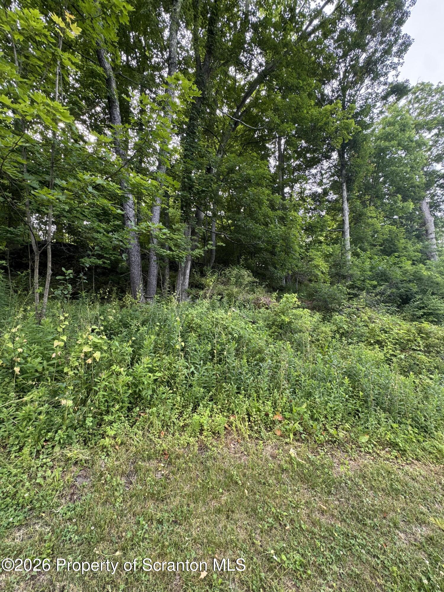743 Pratt Hollow Road Nicholson, PA 18446 - Photo 61 of 68 Outside