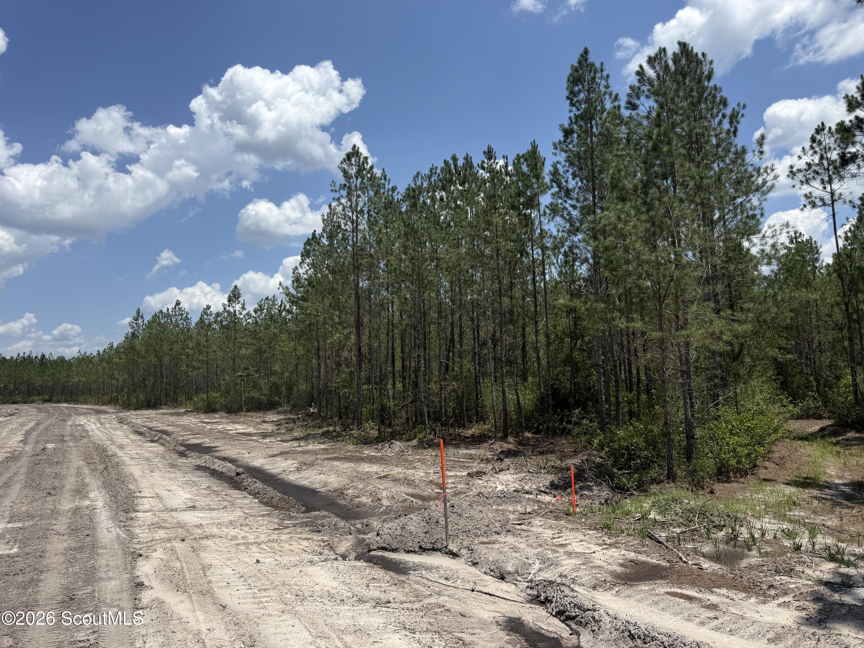 Lot 10 Corbitt Road, Unit LOT 10 Manor, GA 31550 - Photo 7 of 8 IMG_8066