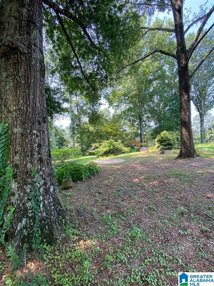 4937 South Shades Crest Road Helena, AL 35022 - Photo 11 of 15