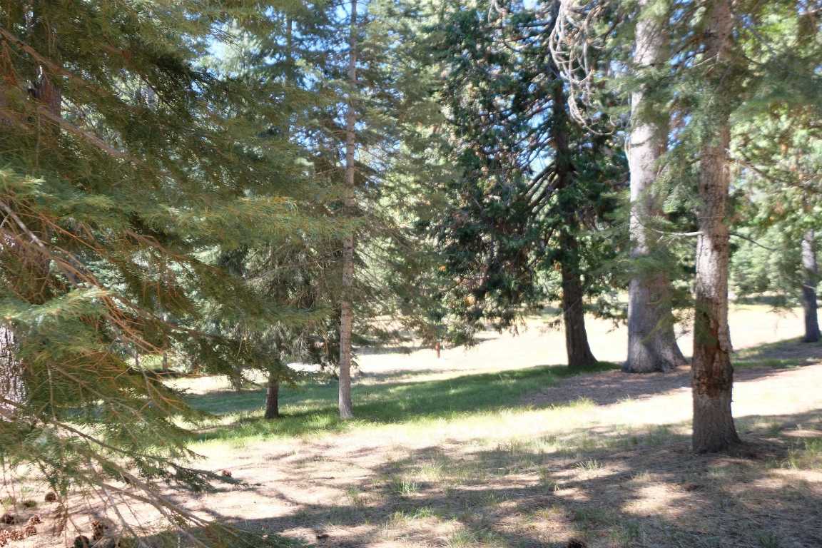 3-e-51 Red Fir Road McCloud, CA 96057 - Photo 41 of 41 Gallery Image 41