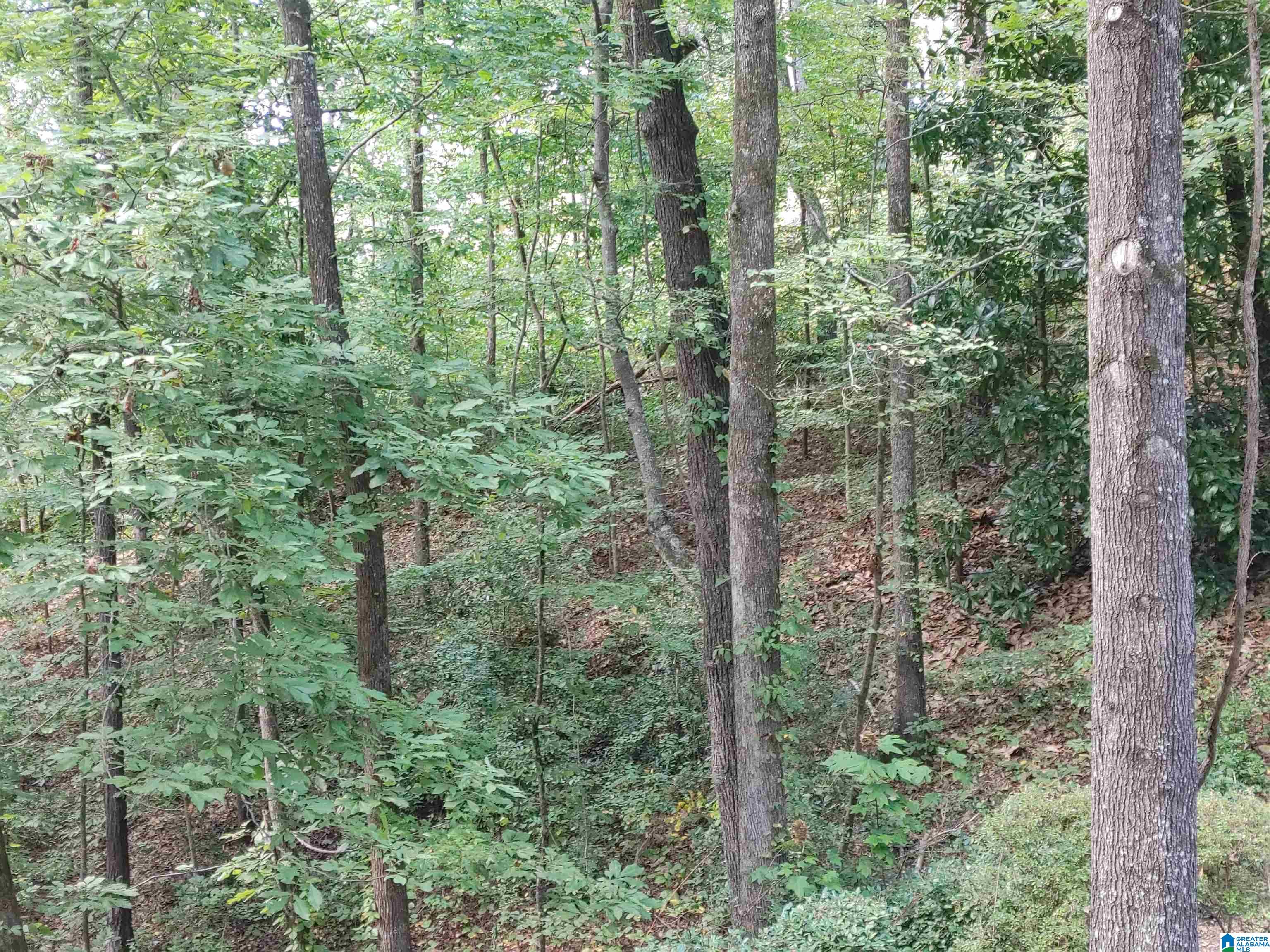 1 Oakland Road Sylacauga, AL 35150 - Photo 10 of 32