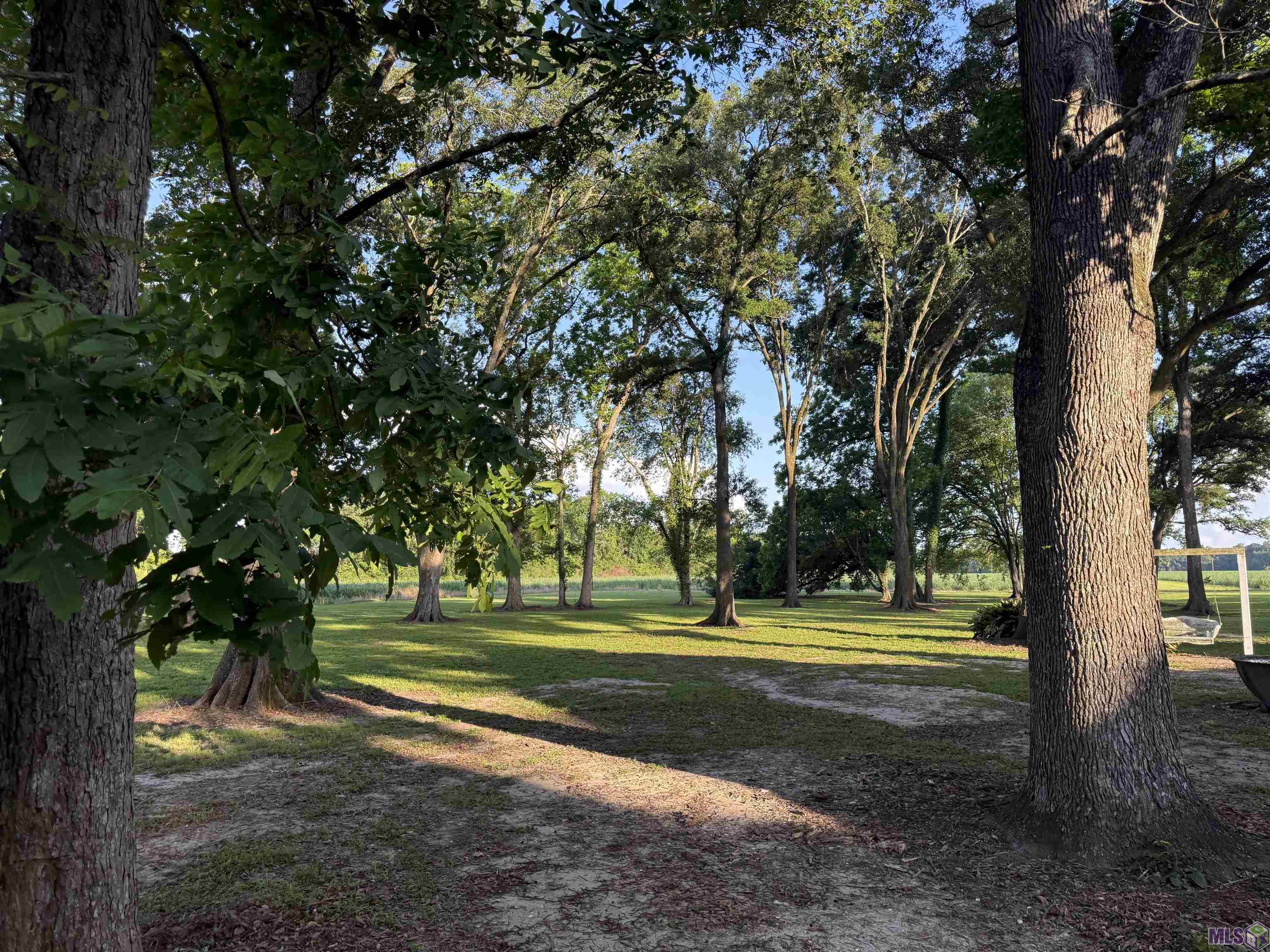 58385 Augusta Road White Castle, LA 70788 - Photo 57 of 58