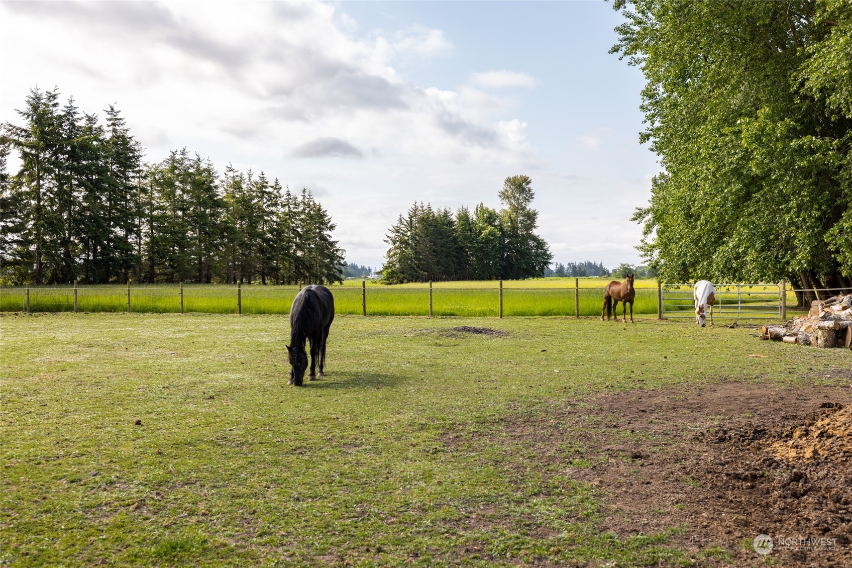 16244 Field Road Bow, WA 98232 - Photo 36 of 40 a view of swimming pool with a yard