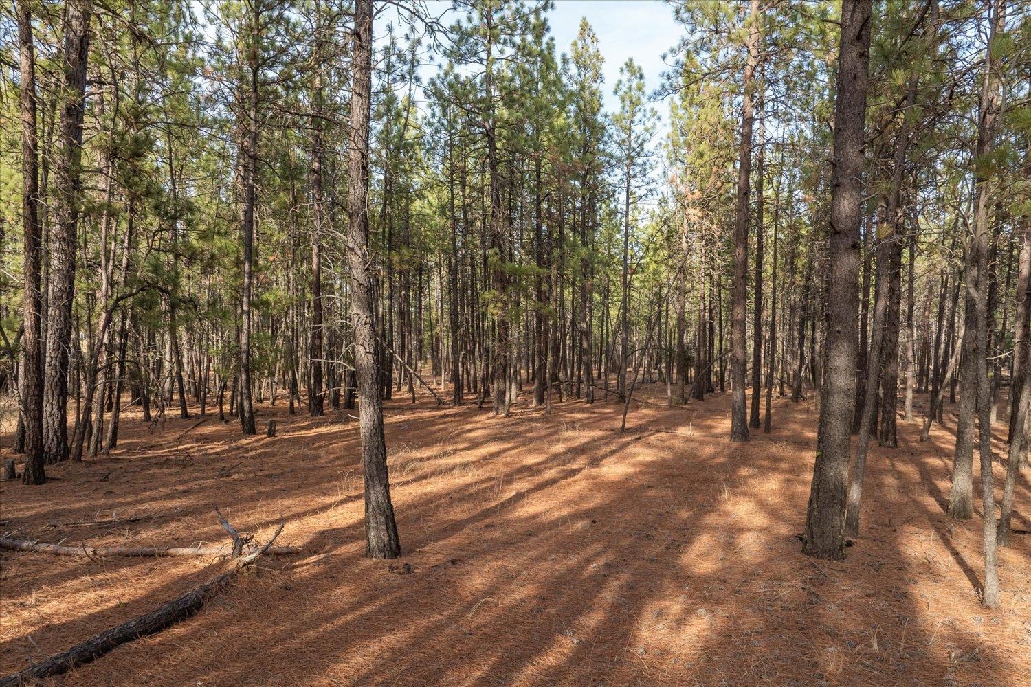 7204 West Griffin Road Cheney, WA 99004 - Photo 43 of 50