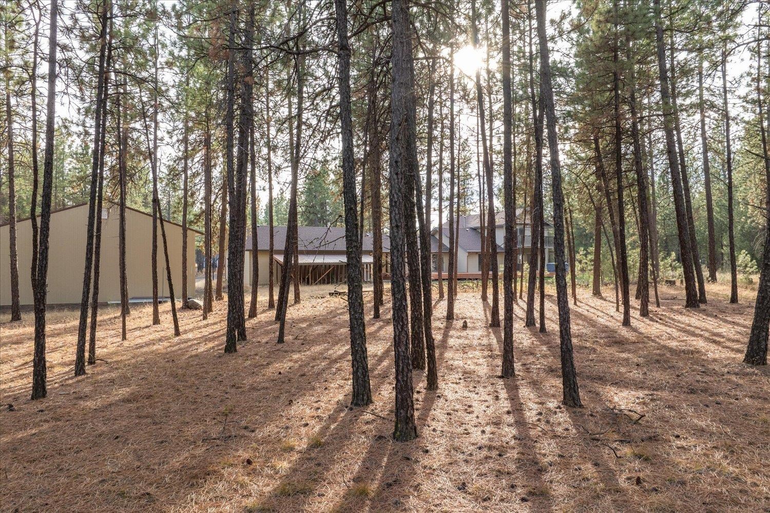 7204 West Griffin Road Cheney, WA 99004 - Photo 44 of 50