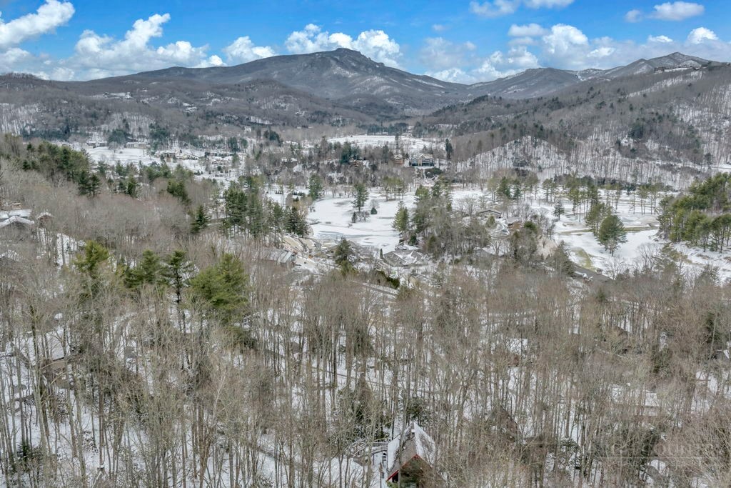 233 Cherry Drive Boone, NC 28607 - Photo 20 of 20 a view of a houses with a yard