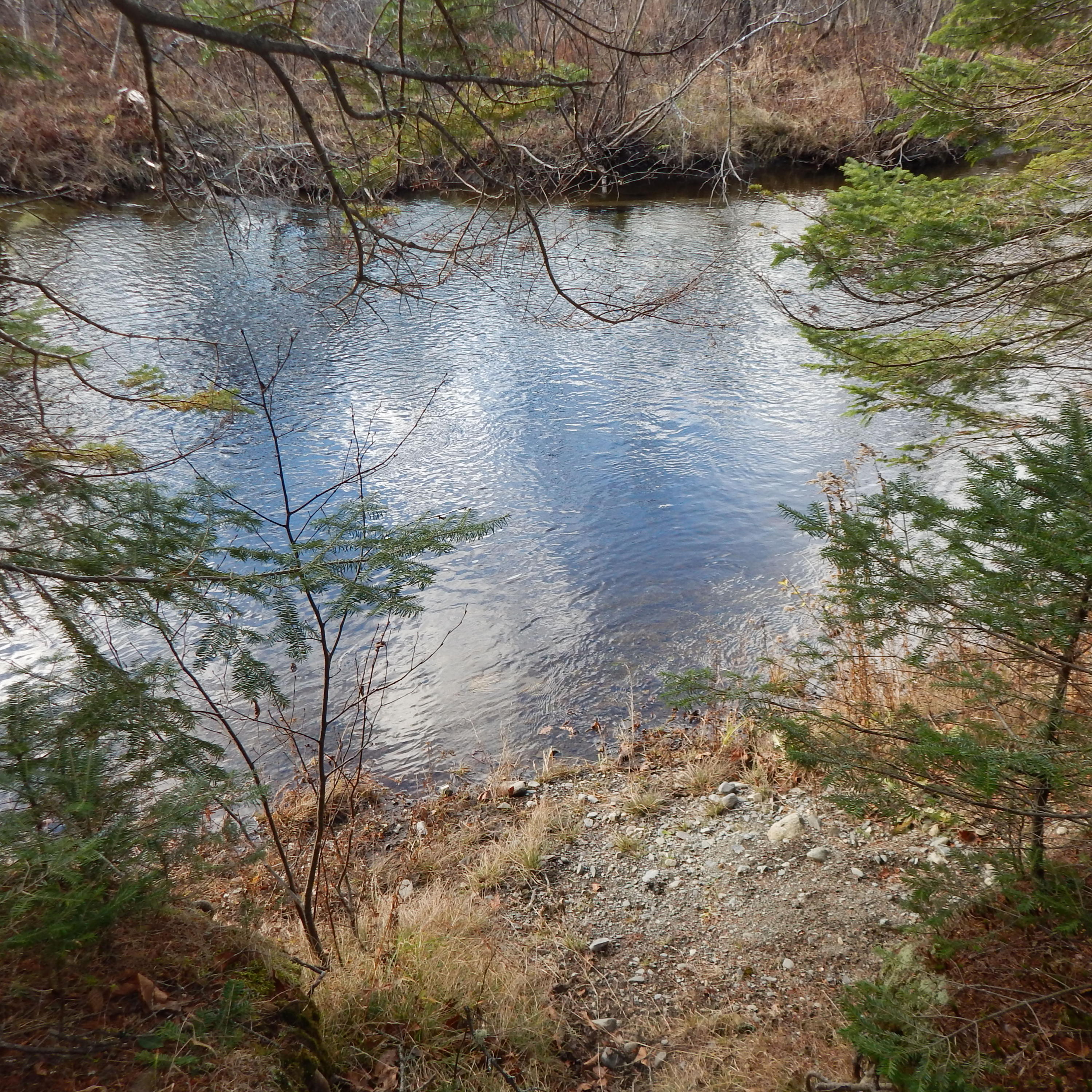 69 Herring Tract Road Willimantic, ME 04443 - Photo 18 of 60 DSCN0060
