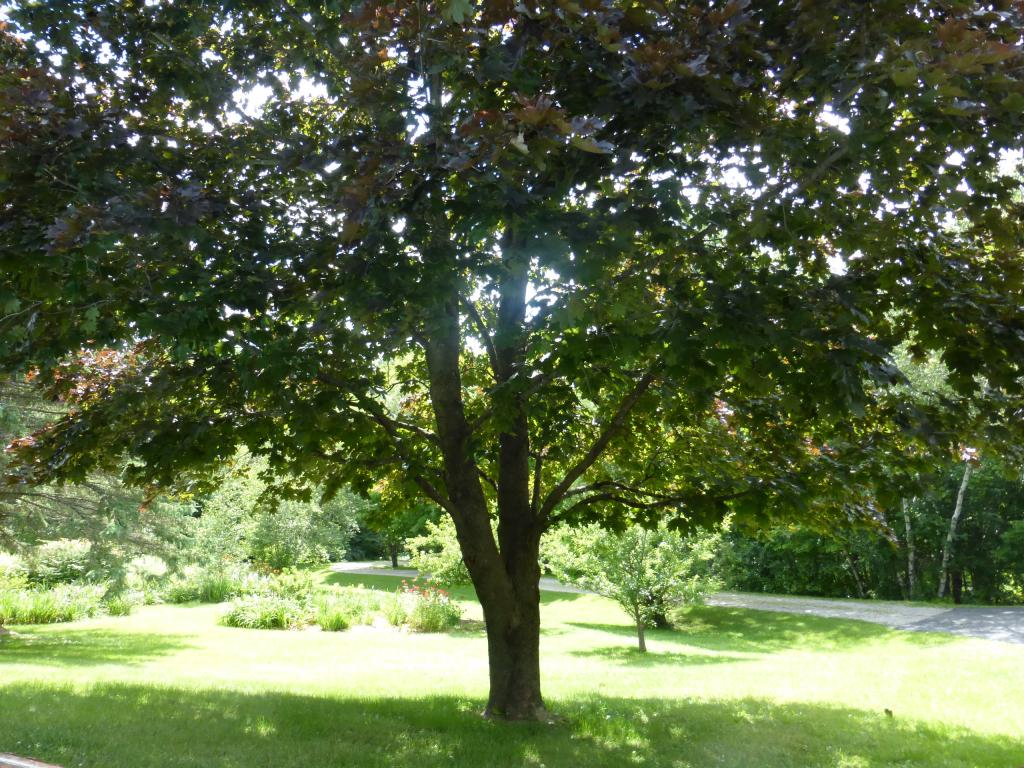 622 Meehan Road Bristol, VT 05443 - Photo 34 of 36 Gallery Image 34