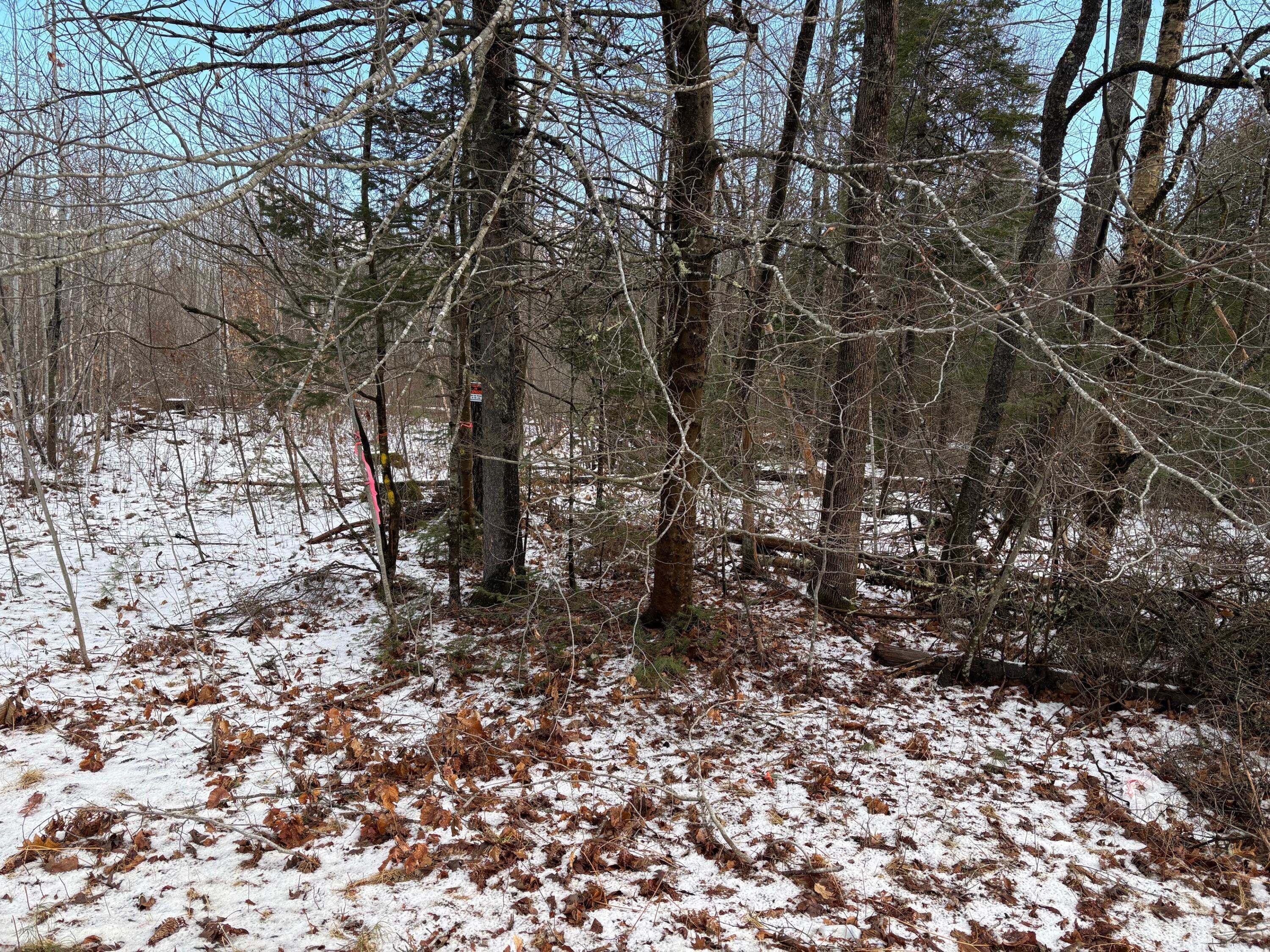 0 Valley Road Jackson, ME 04921 - Photo 22 of 22 IMG_4805