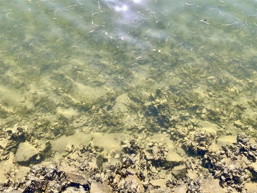 4678 Marine Parkway, Unit 305 New Port Richey, FL 34652 - Photo 35 of 54