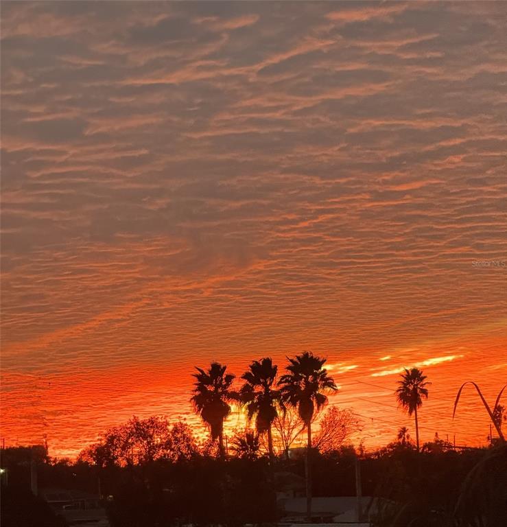 4678 Marine Parkway, Unit 305 New Port Richey, FL 34652 - Photo 36 of 54