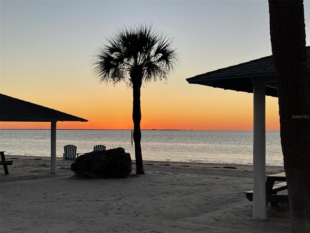 4678 Marine Parkway, Unit 305 New Port Richey, FL 34652 - Photo 47 of 54