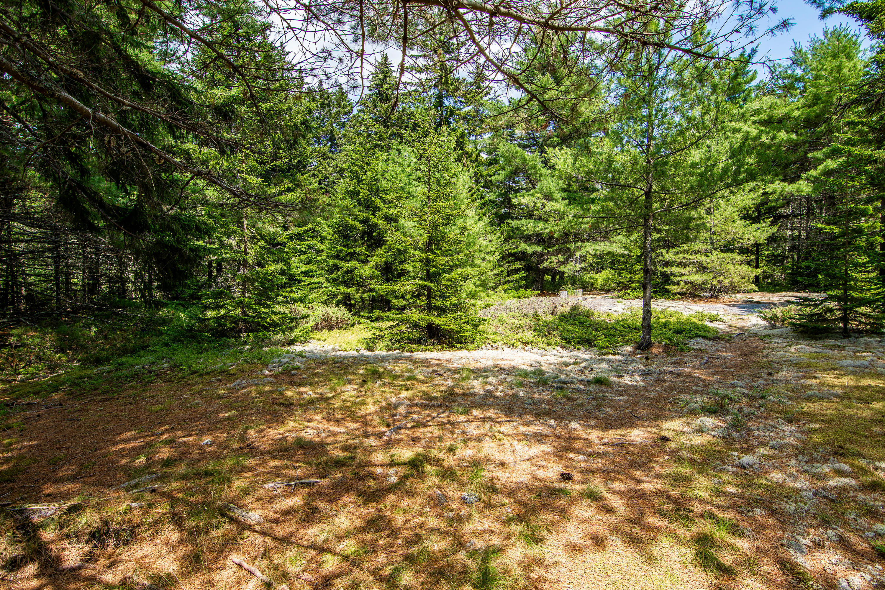 41 Byards Point Road Sargentville, ME 04673 - Photo 39 of 39 41 Byards Point Road Sedgwick-print-042-
